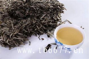 汝瓷茶壶可以泡白茶？