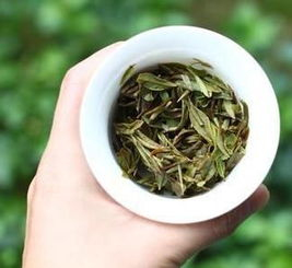 
听说白茶越久越贵，新茶不贵？
