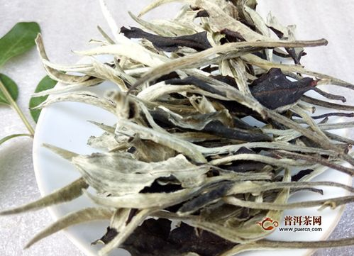 武夷岩茶和福鼎白茶哪个好