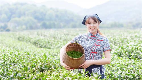 五十男人乌龙茶